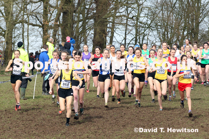 Senior women, 2020 British Athletics Inter Counties Cross Country Champs., Prestwold Hall, Loughborough. Photo: David T. Hewitson/Sports for All Pics